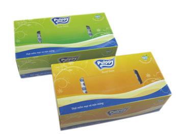 in hộp khăn giấy giá rẻ in-hop-khan-giay-hcm