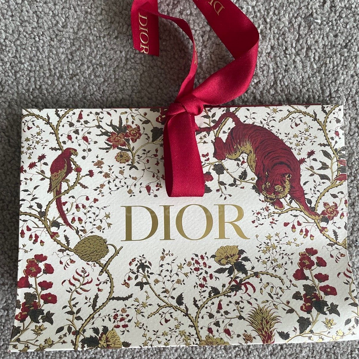 Mẫu túi giấy Dior - 2