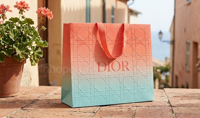 Mẫu túi giấy thương hiệu Dior - 18