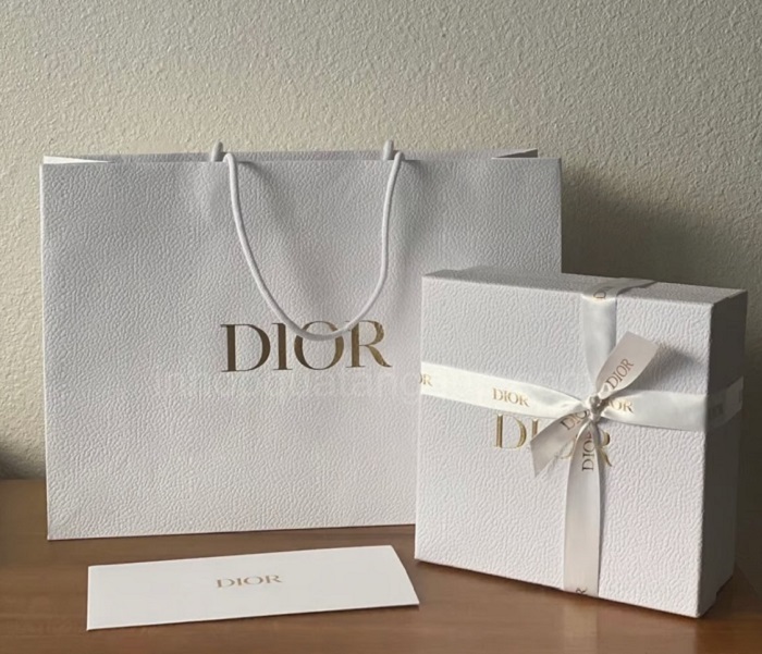 Mẫu túi giấy Dior - 3