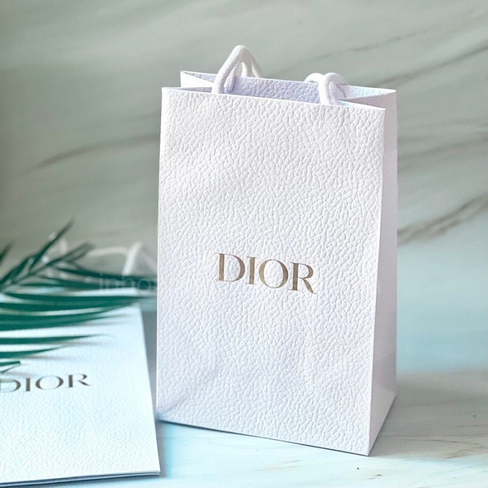 Mẫu túi giấy Dior - 4