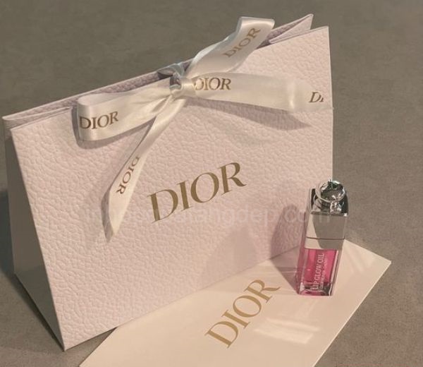 Mẫu túi giấy Dior - 6