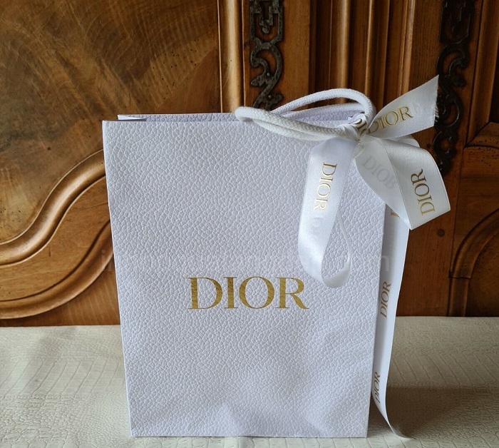 Mẫu túi giấy Dior - 7