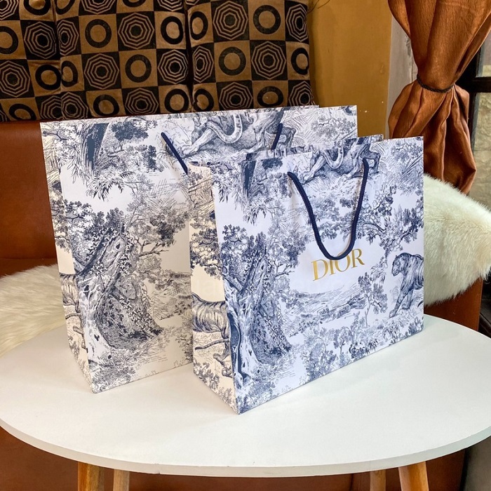 Mẫu túi giấy Dior - 8