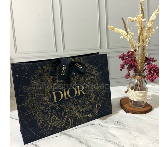 Mẫu túi giấy Dior - 10